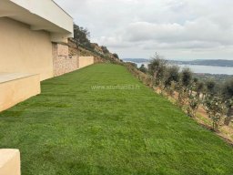 Aménagement de jardin avec arrosage automatique et gazon naturel à Saint-Tropez