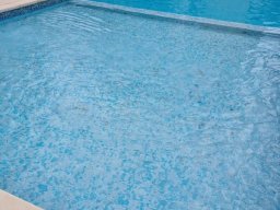 Rénovation de Piscines