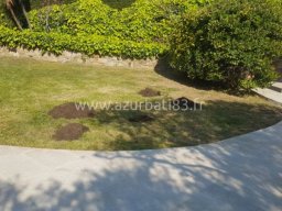  Réparation d&#039;Arrosage Automatique et Plantation de Gazon Naturel