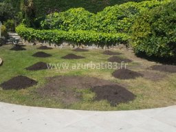  Réparation d&#039;Arrosage Automatique et Plantation de Gazon Naturel