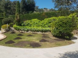  Réparation d&#039;Arrosage Automatique et Plantation de Gazon Naturel